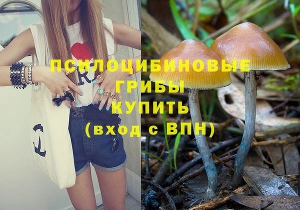 прущий лед Иннополис