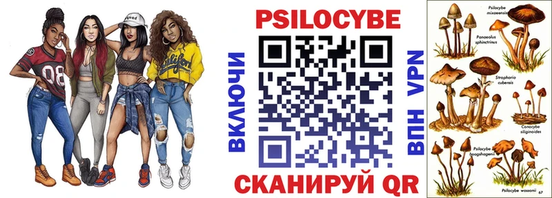 Купить где Емва Псилоцибиновые грибы MAGIC MUSHROOMS